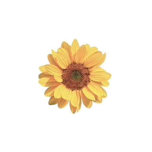 【お礼写メ日記💌】