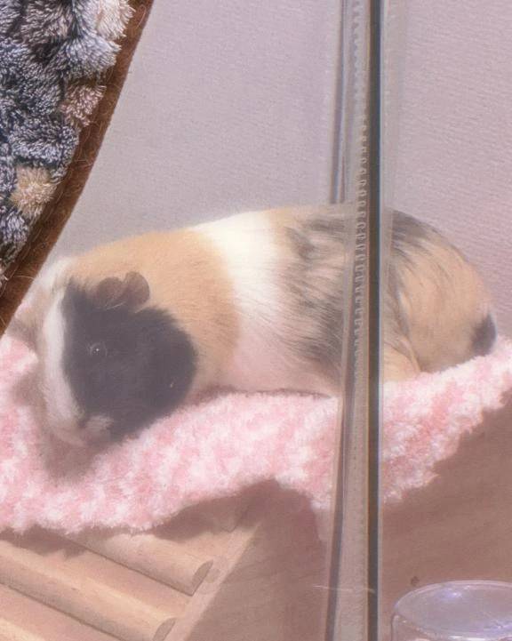 年末年始の出勤予定💕︎