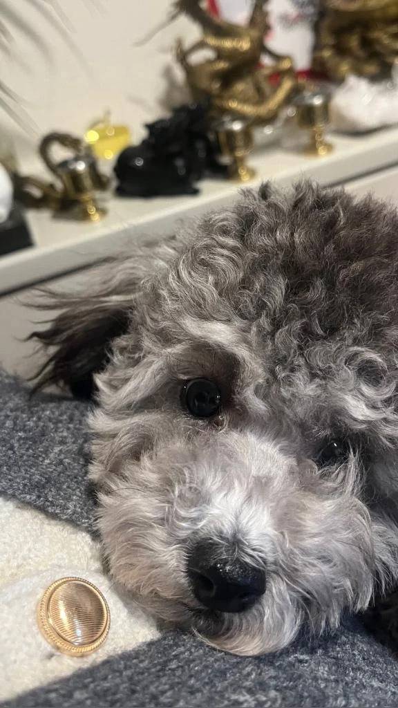 可愛いでしょ🥹