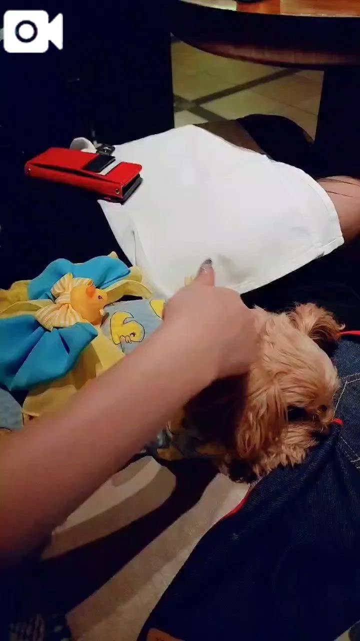 苦い記憶(‘ᾥ’)💜