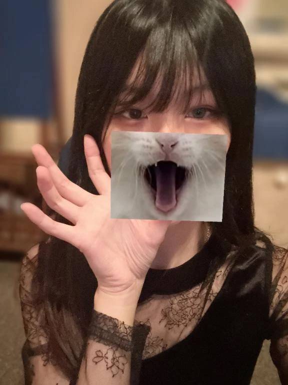 次回予定《3/26~》