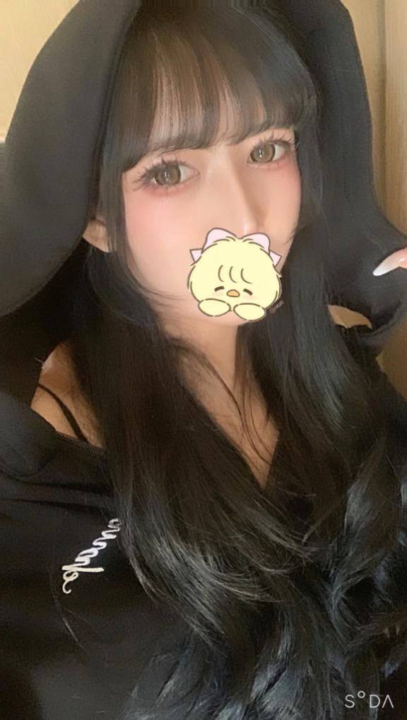 🎀 自己紹介 🎀