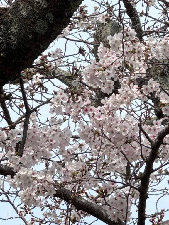 すみません🙇‍♀️