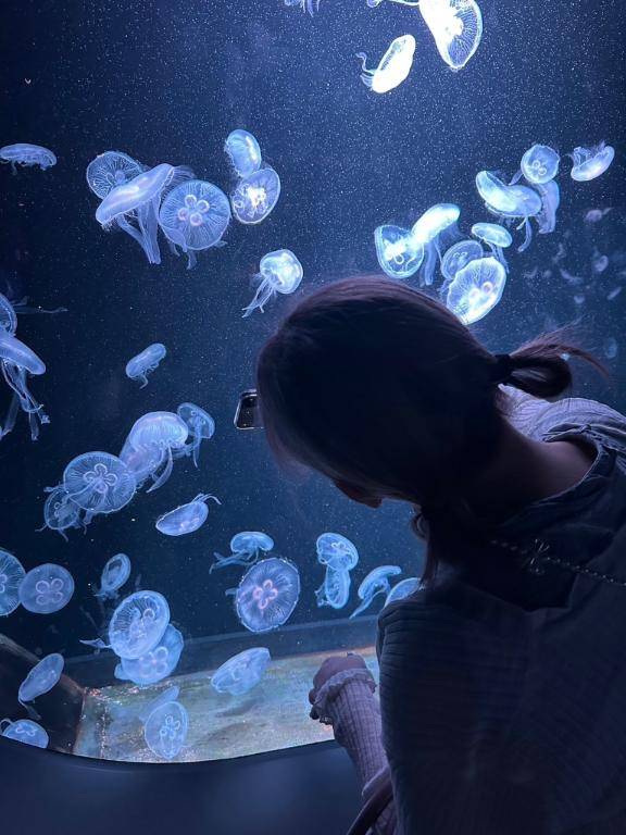 ありがとうございます🙇‍♀️