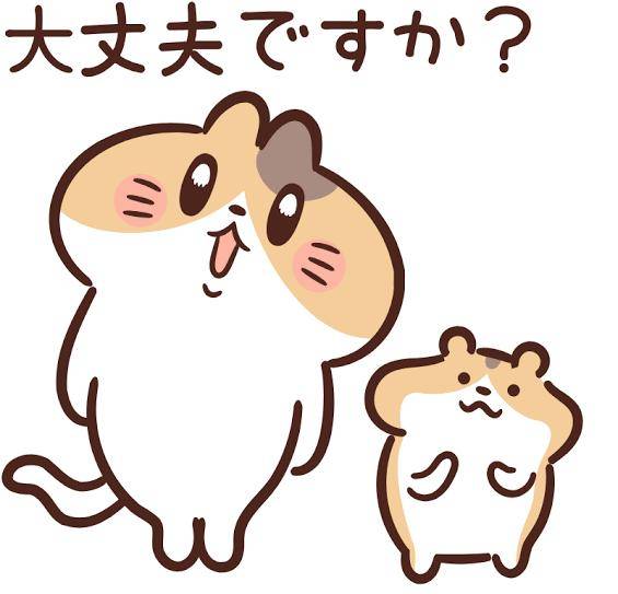 16時半からのお客様へ