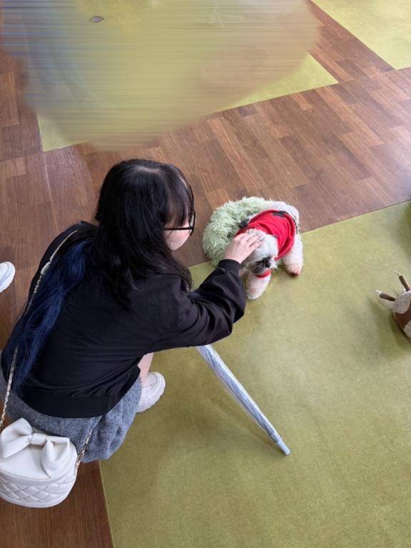 癒されモード