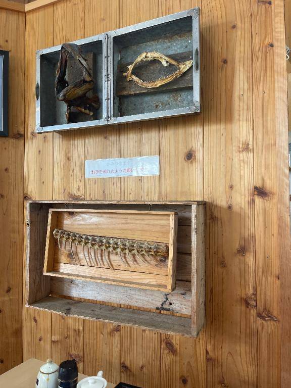 噛みつかれるらしい…?