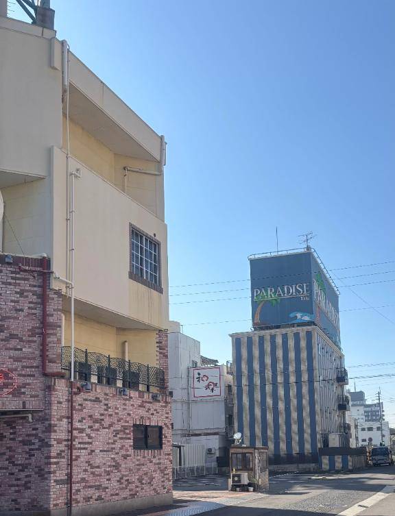 流行りよりも安心感?