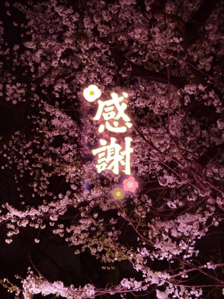 おしらせ📣