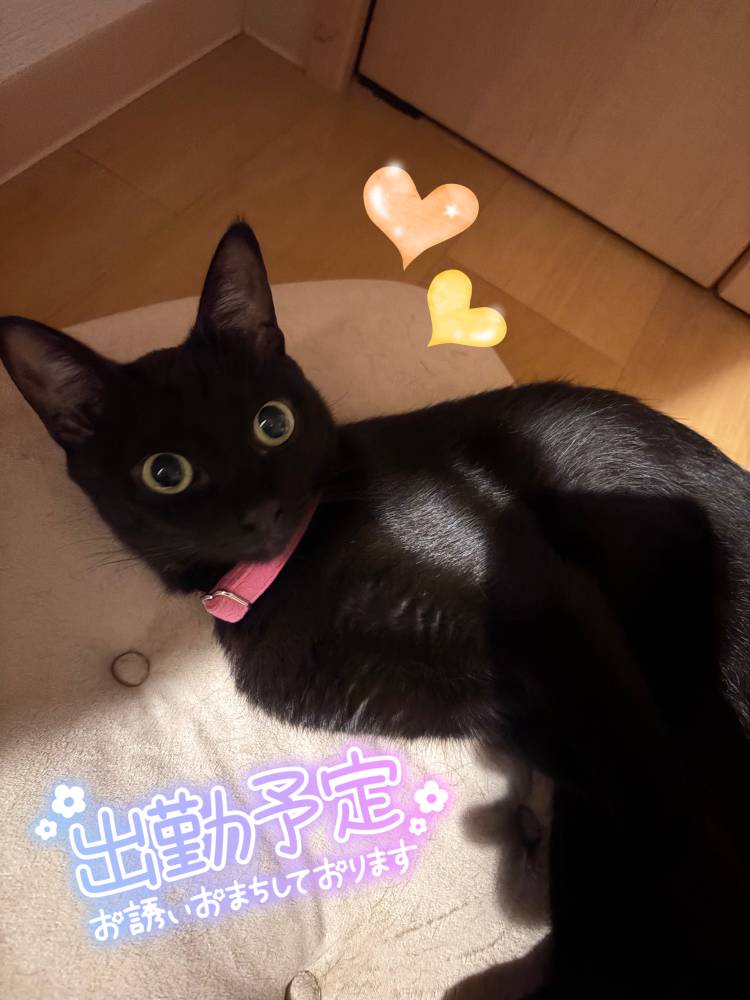日曜日出勤♡