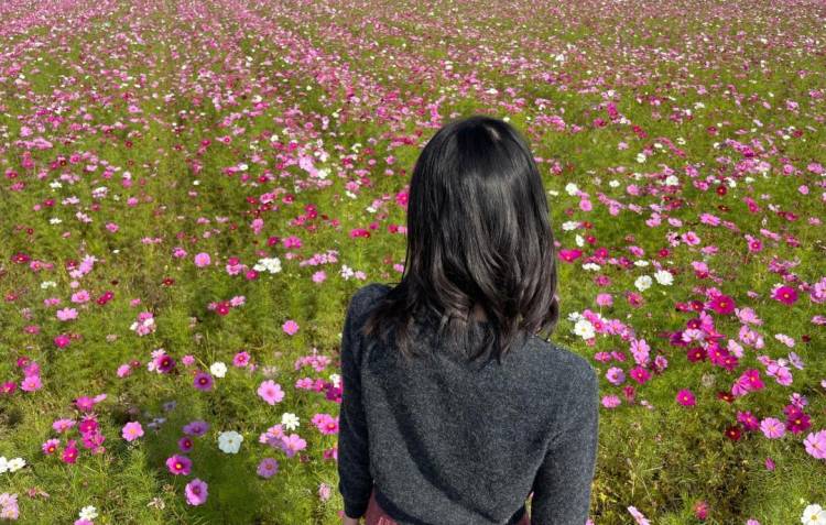 すっごく綺麗💐