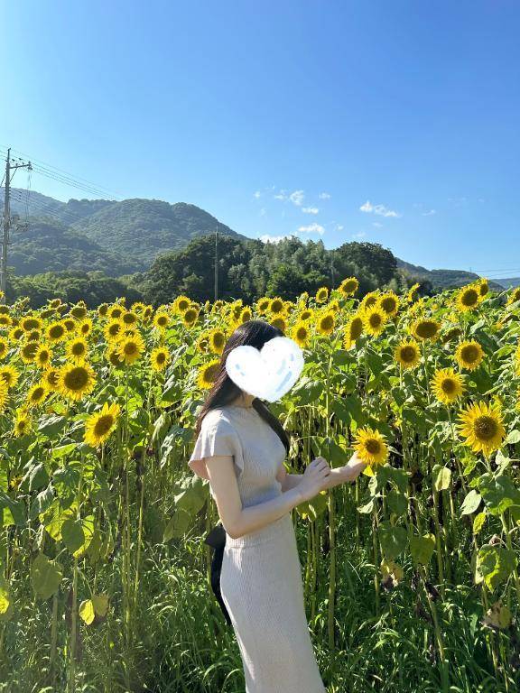 🌻8月前半の出勤日