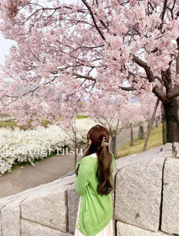 春ですね🌸