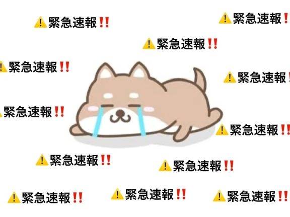 【⚠️重大速報⚠️】メールについて