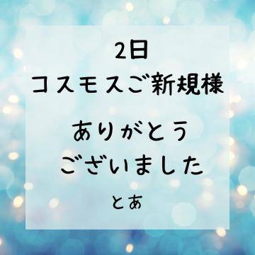 2日 コスモス ご新規様