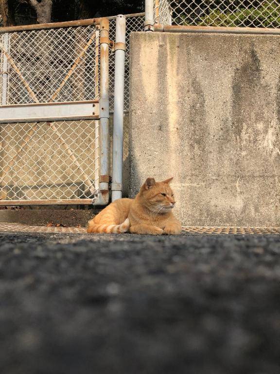 今日もお疲れ様でした?*ﾟ