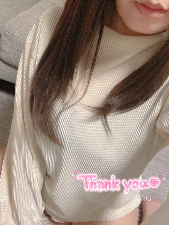予定
