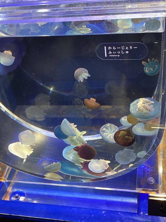 嬉しい出来事?