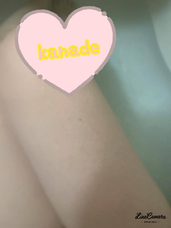 お知らせ????