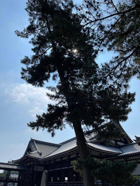 出勤しました