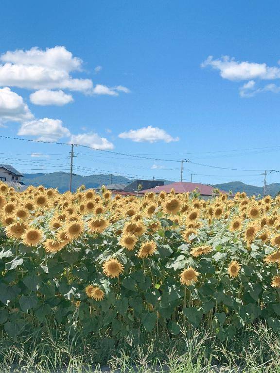 おはようございます　(^ ^)