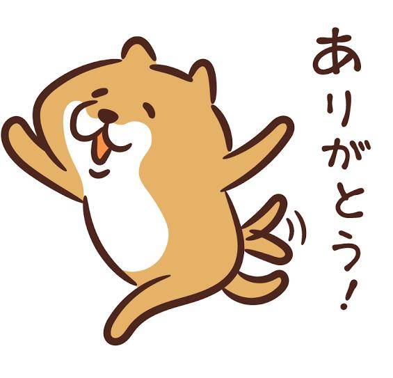 昨日　パオラ様