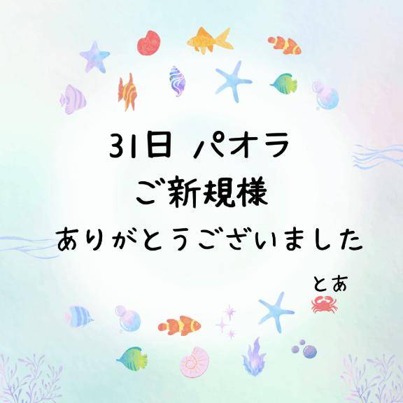 31日 パオラ ご新規様