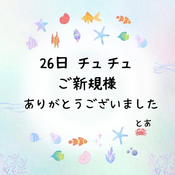 26日 チュチュ ご新規様