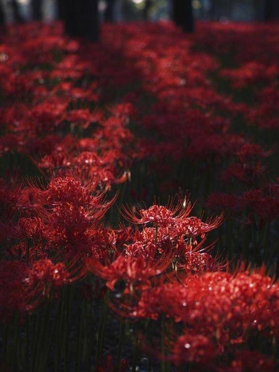 今日は15:00~