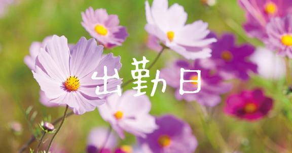 出勤日?