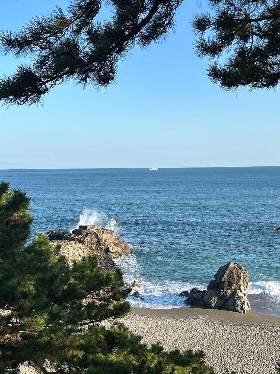 ありがとうございました?