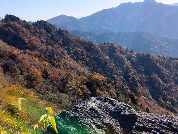 前原くみ　ピックアップキャスト