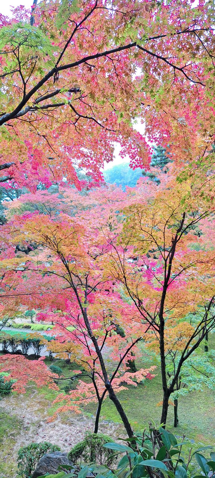 お礼日記(*`･ω･´)