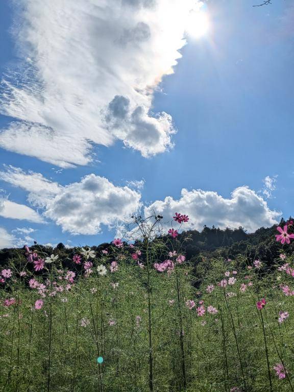 おはようございます♪