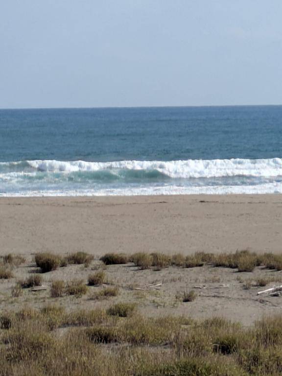 綾波玲子　ピックアップキャスト