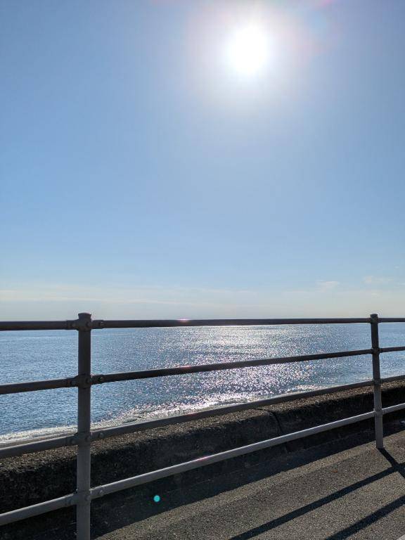 綾波玲子　ピックアップキャスト