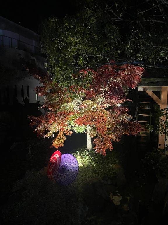 前原くみ　ピックアップキャスト