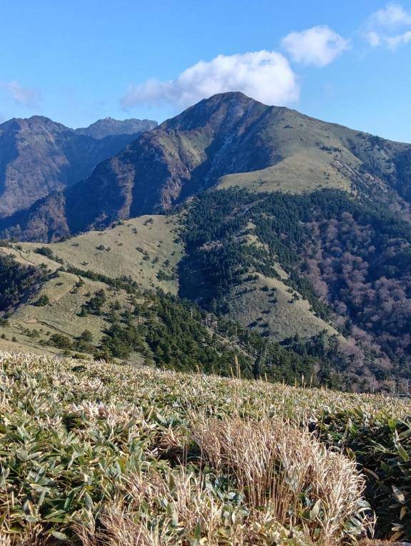 前原くみ　ピックアップキャスト