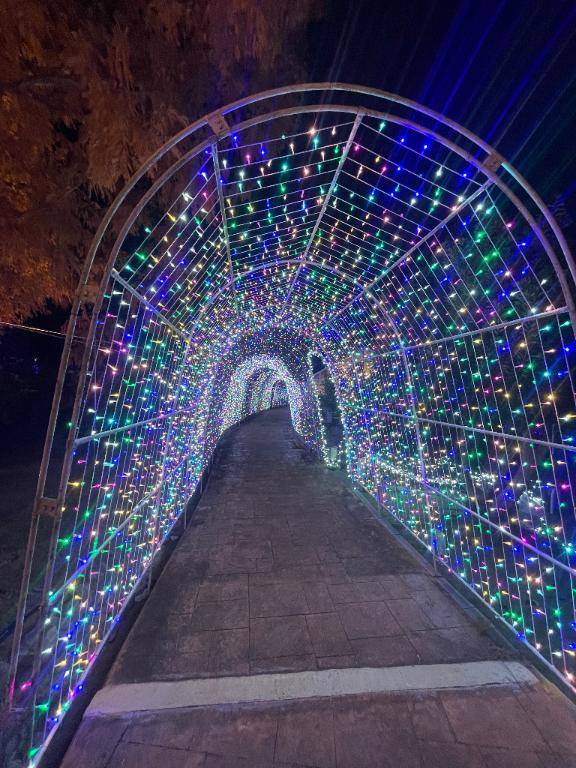 前原くみ　ピックアップキャスト