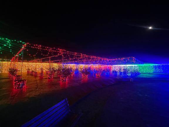 前原くみ　ピックアップキャスト