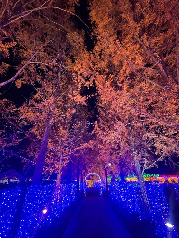 前原くみ　ピックアップキャスト