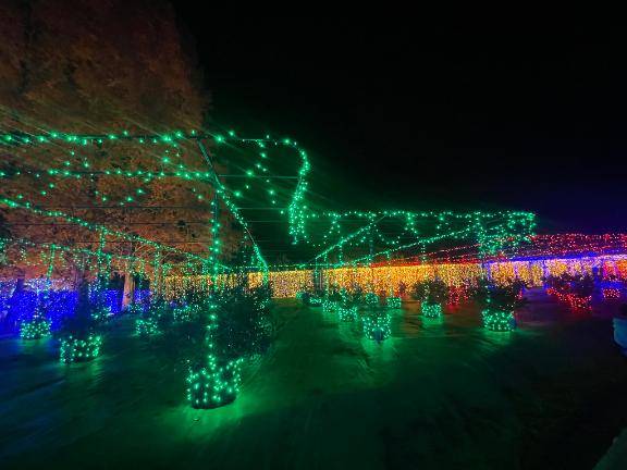 前原くみ　ピックアップキャスト