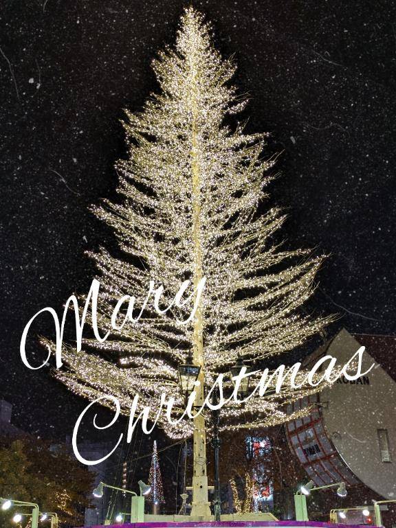 綾波玲子　ピックアップキャスト