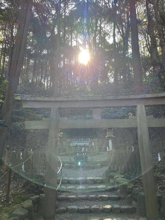 青柳れお【WOMAN】