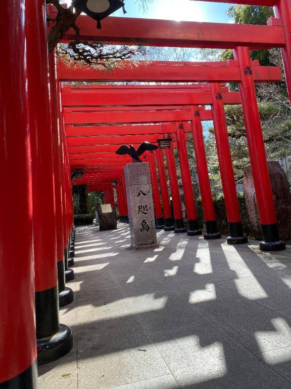 内田ゆう【WOMAN】