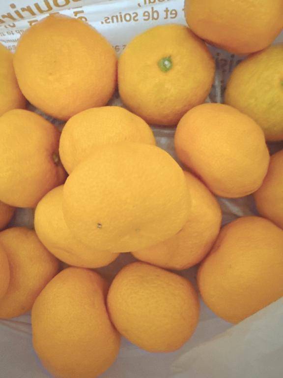 井川さつき【PICKUP】