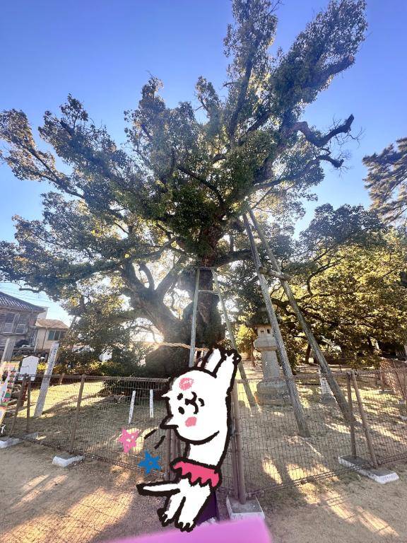 内田ゆう【WOMAN】