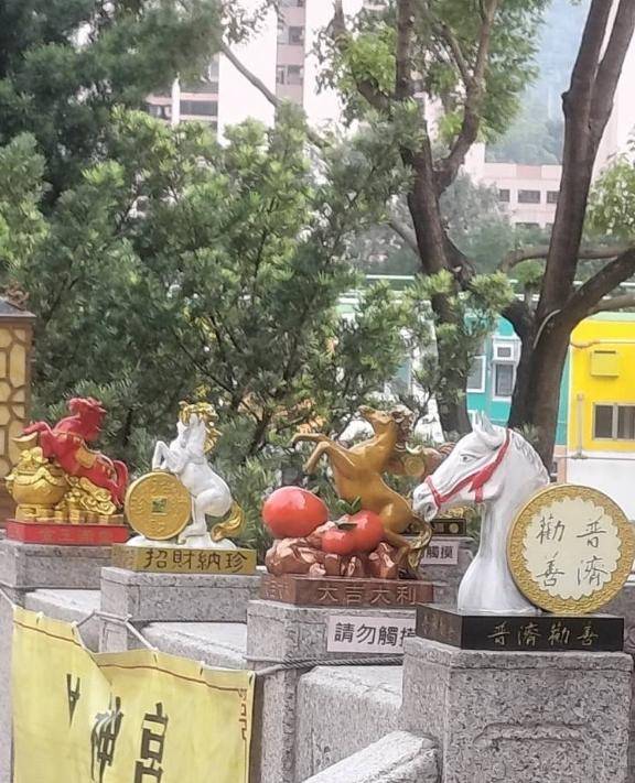 青柳れお【WOMAN】