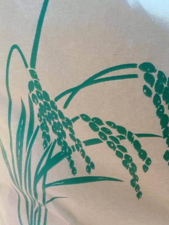 井川さつき【PICKUP】