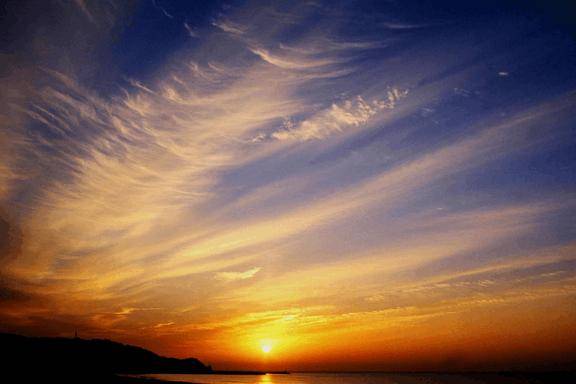 さやか【PREMIUM】